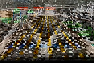 بهترین ترکیب دستگاه سورتینگ و بسته بندی برای کسب وکارهای متوسط کشاورزی